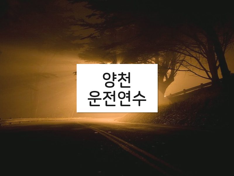 양천운전연수 후기
