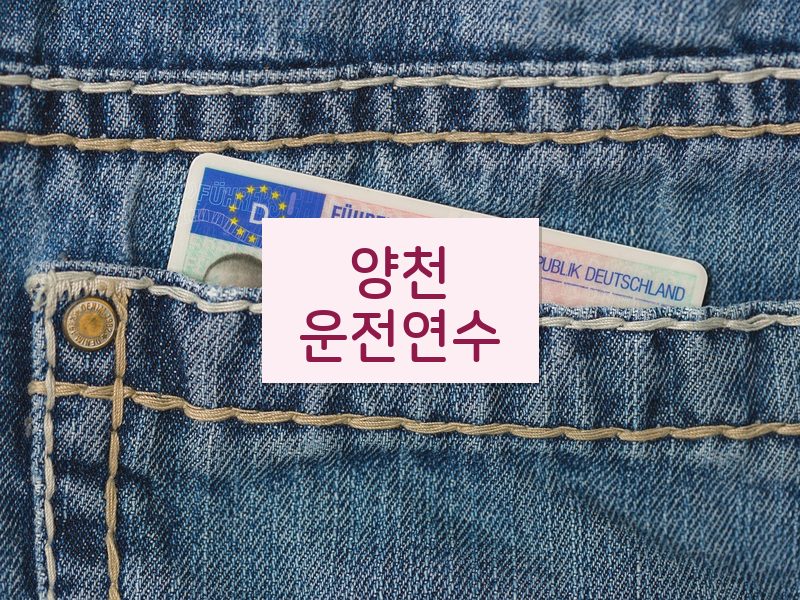 양천운전연수 후기