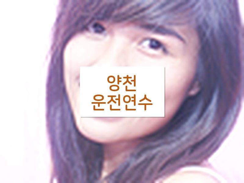 양천운전연수 후기