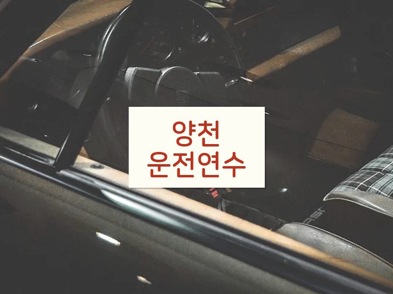 양천운전연수 후기