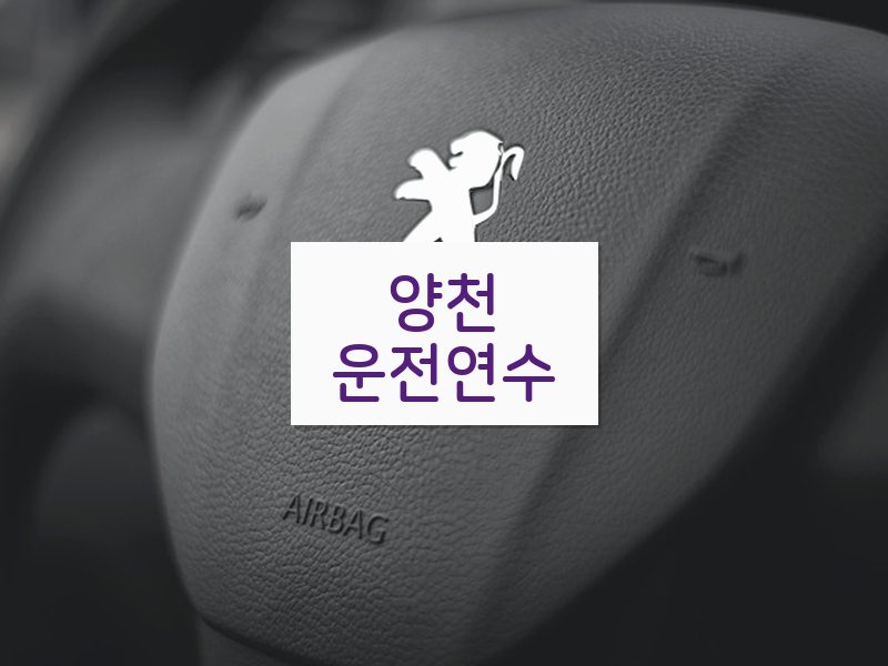 양천운전연수 후기