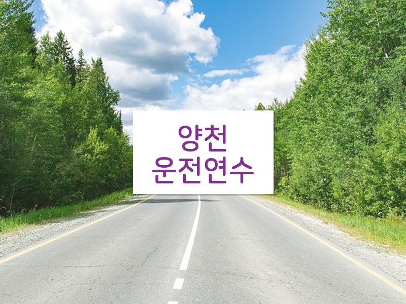양천운전연수 후기
