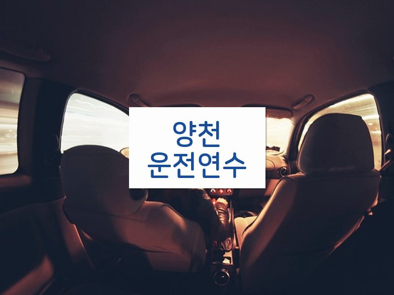 양천운전연수 후기