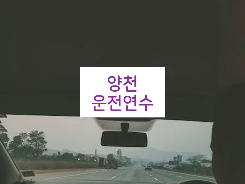 양천운전연수 후기