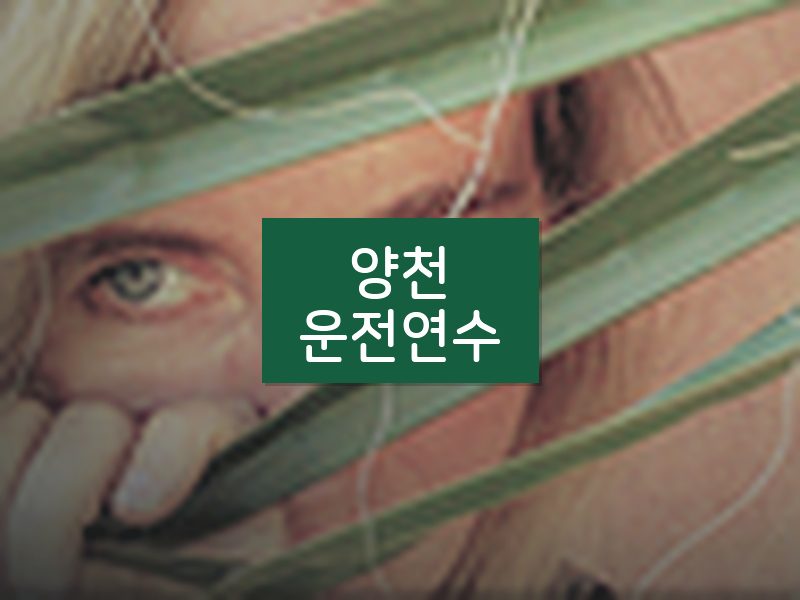 양천운전연수 후기