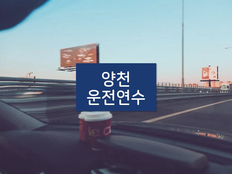 양천운전연수 후기
