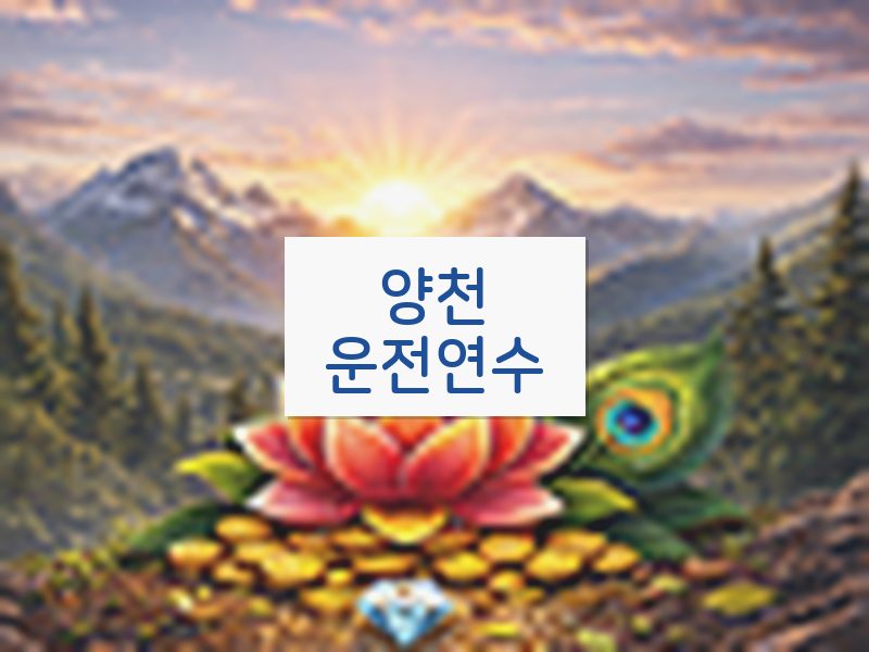 양천운전연수 후기