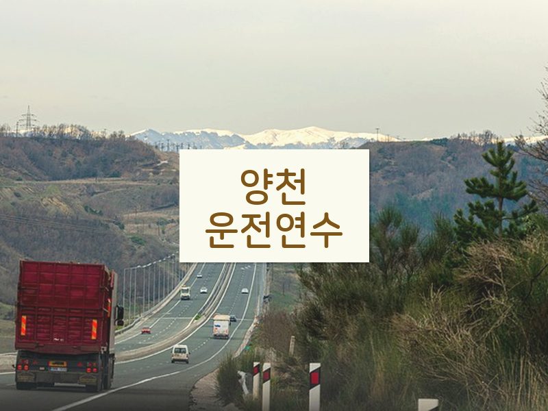 양천운전연수 후기