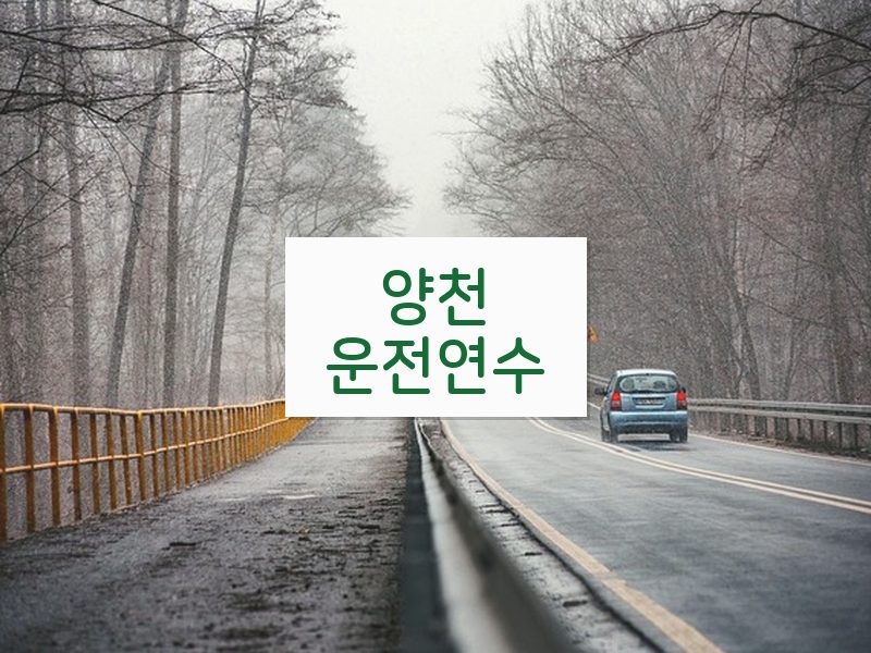 양천운전연수 후기