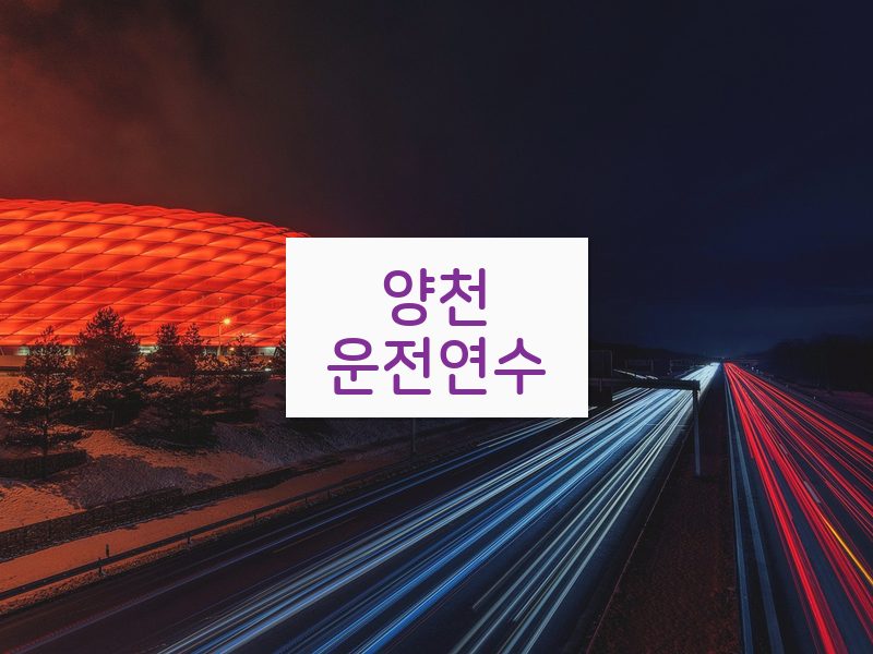 양천운전연수 후기