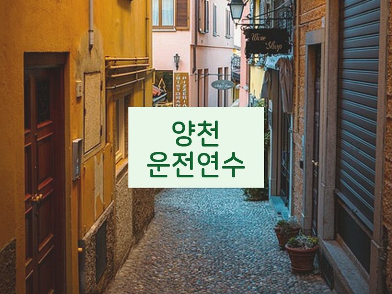 양천운전연수 후기