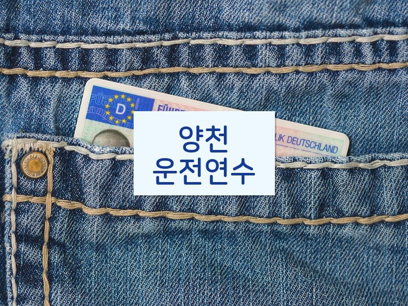 양천운전연수 후기