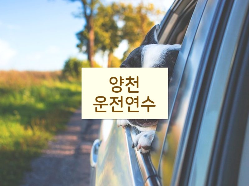 양천운전연수 후기