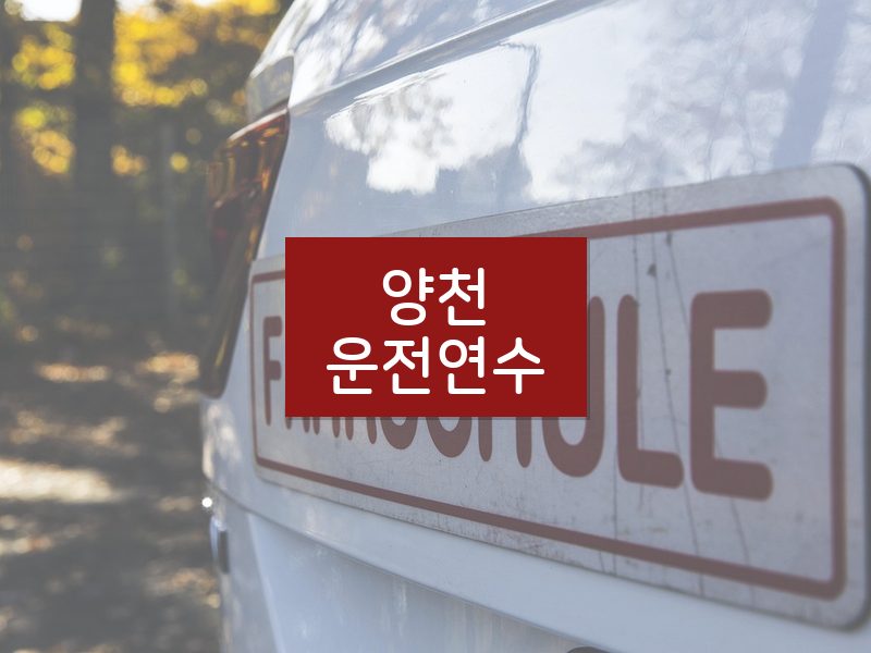 양천운전연수 후기