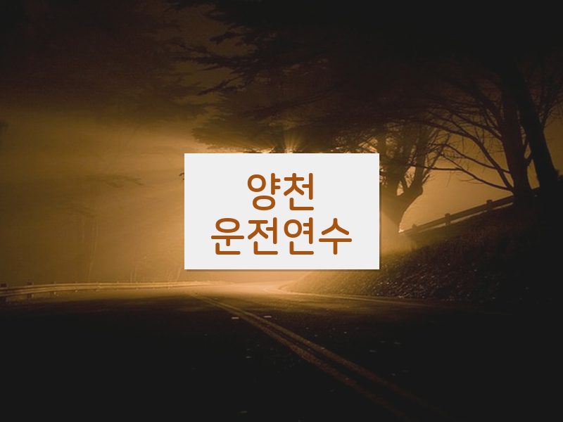 양천운전연수 후기