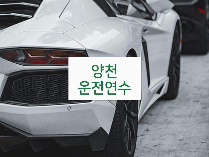 양천운전연수 후기