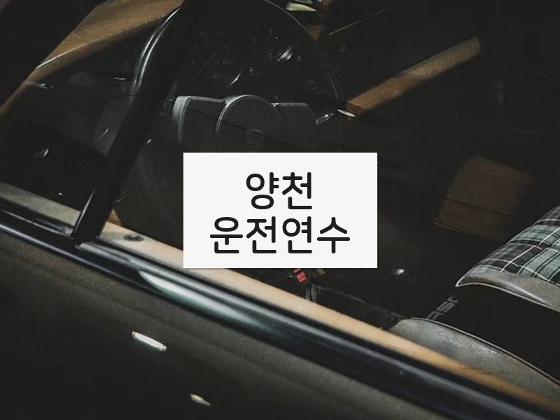 양천운전연수 후기