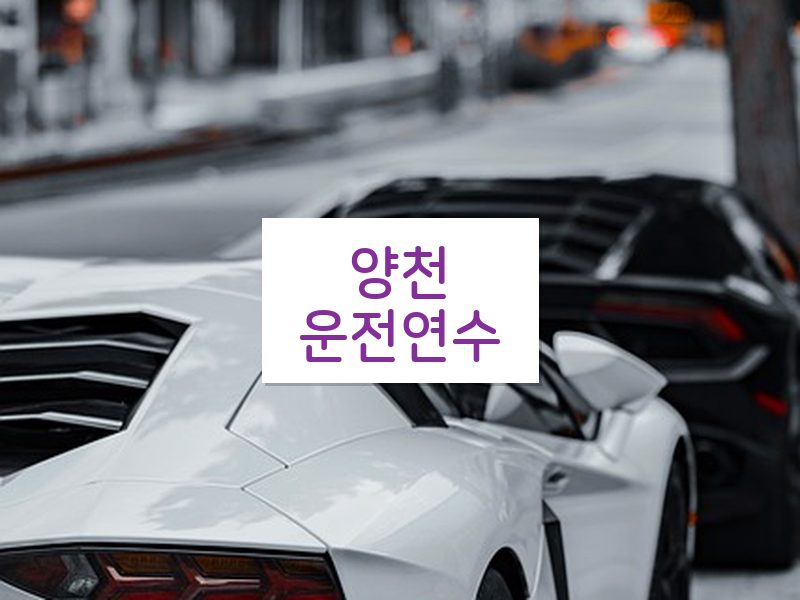 양천운전연수 후기