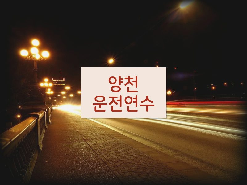 양천운전연수 후기