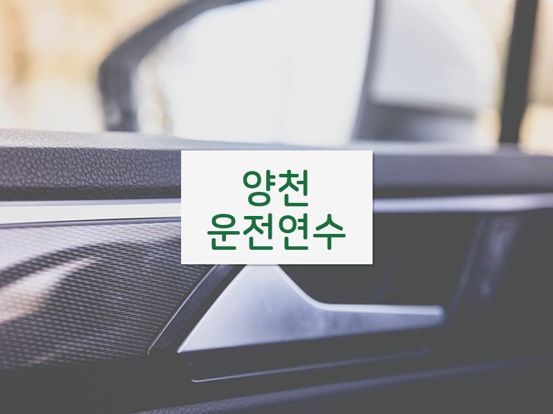 양천운전연수 후기