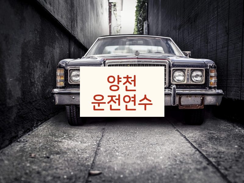 양천운전연수 후기
