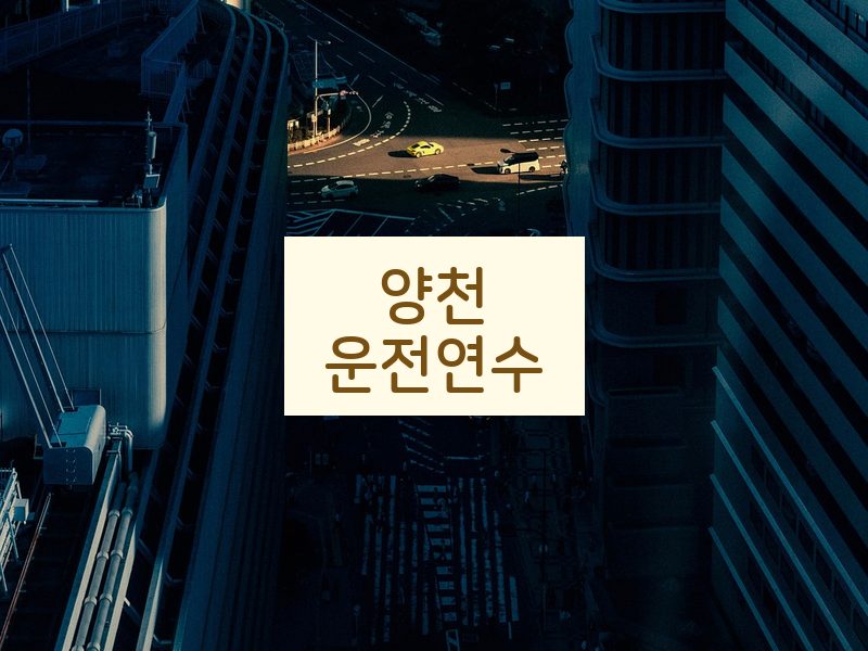 양천운전연수 후기