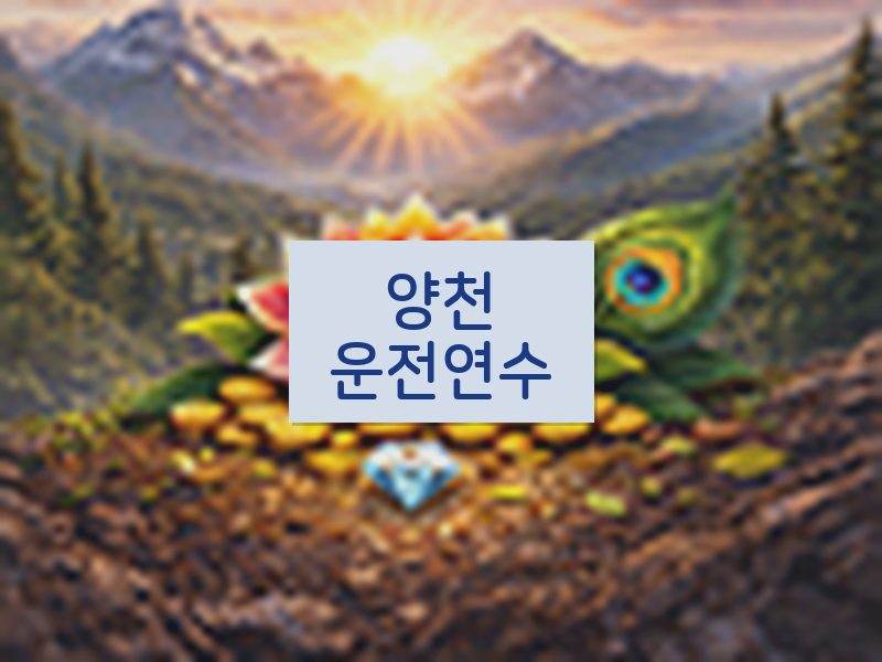 양천운전연수 후기