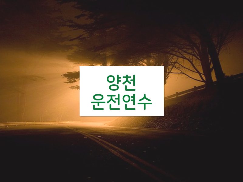 양천운전연수 후기