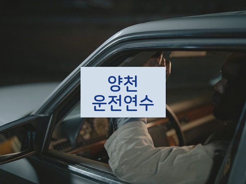 양천운전연수 후기
