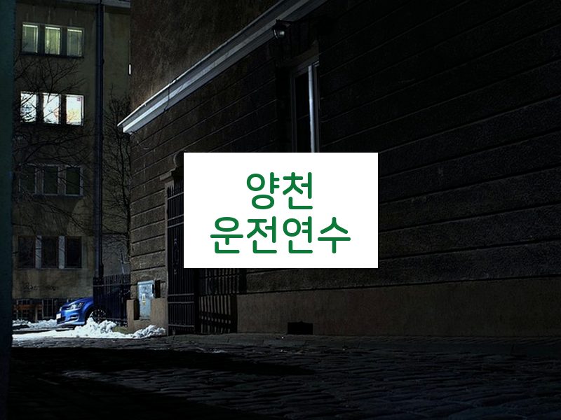 양천운전연수 후기