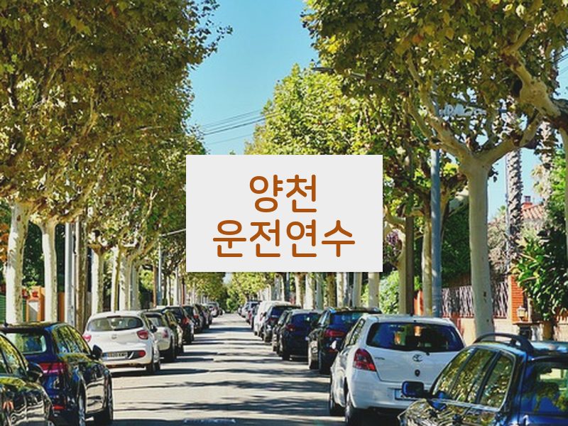 양천운전연수 후기