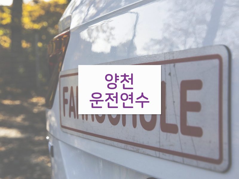 양천운전연수 후기