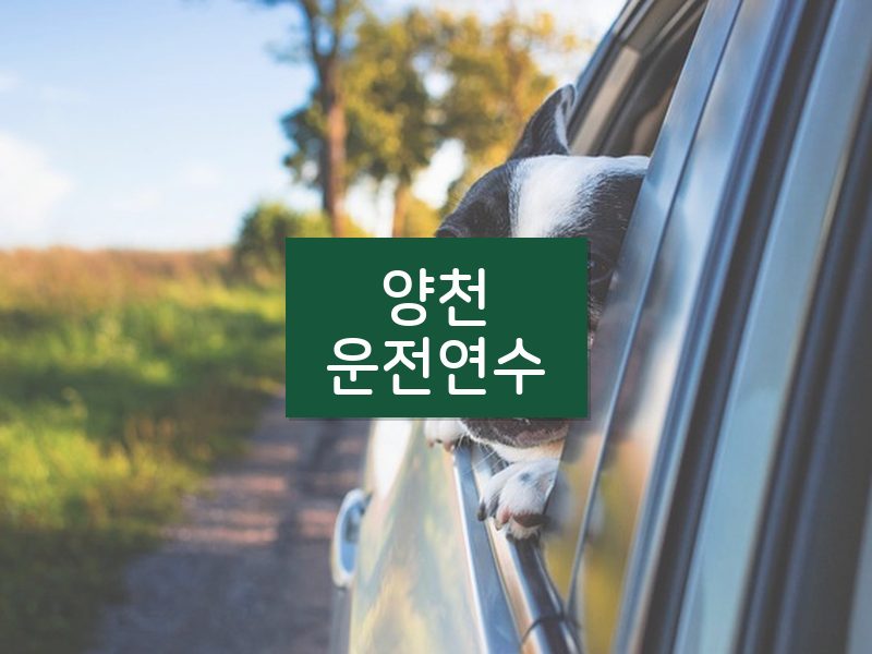 양천운전연수 후기