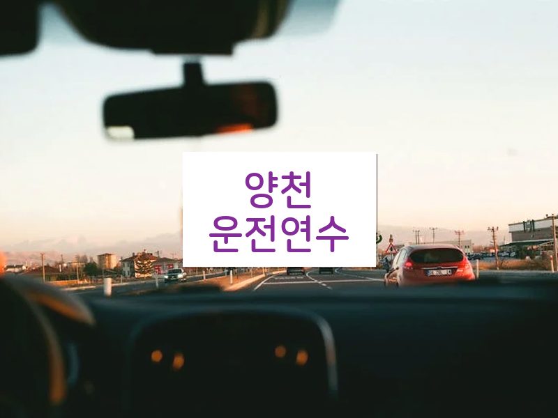 양천운전연수 후기