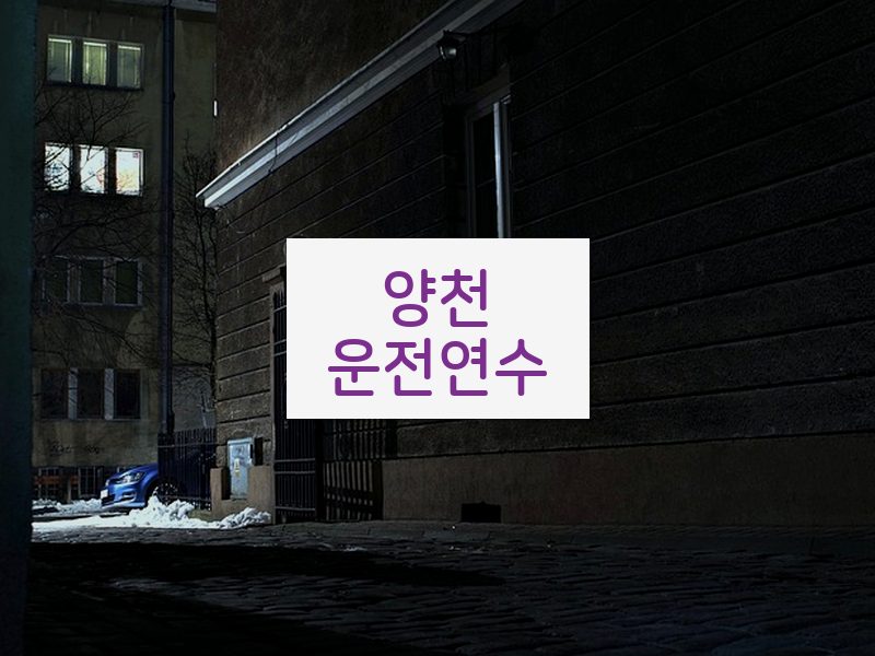 양천운전연수 후기
