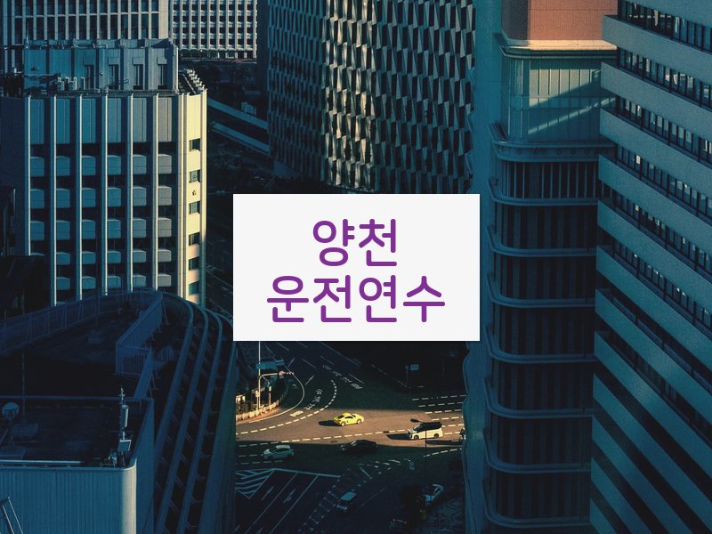 양천운전연수 후기