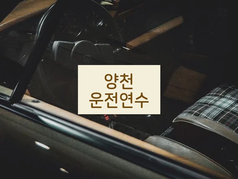 양천운전연수 후기