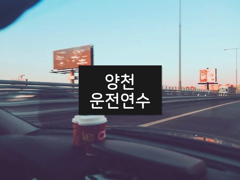 양천운전연수 후기