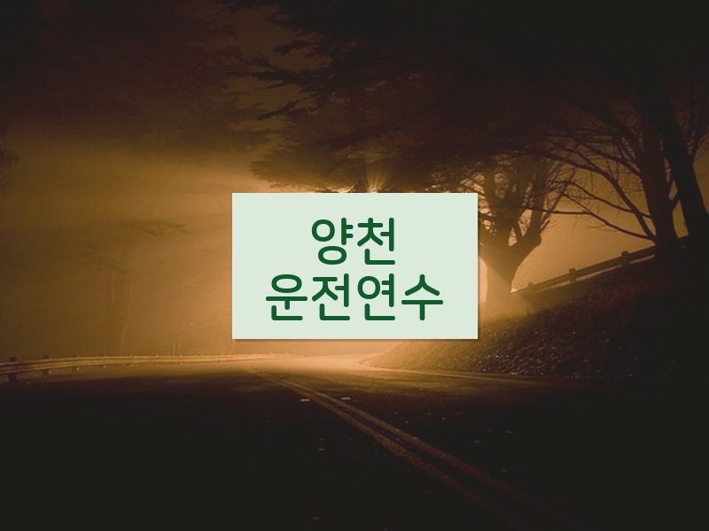 양천운전연수 후기