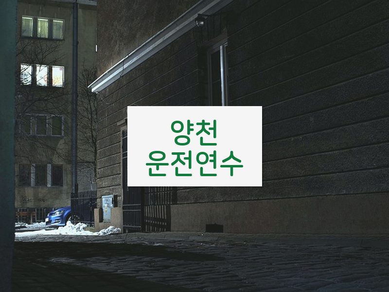 양천운전연수 후기