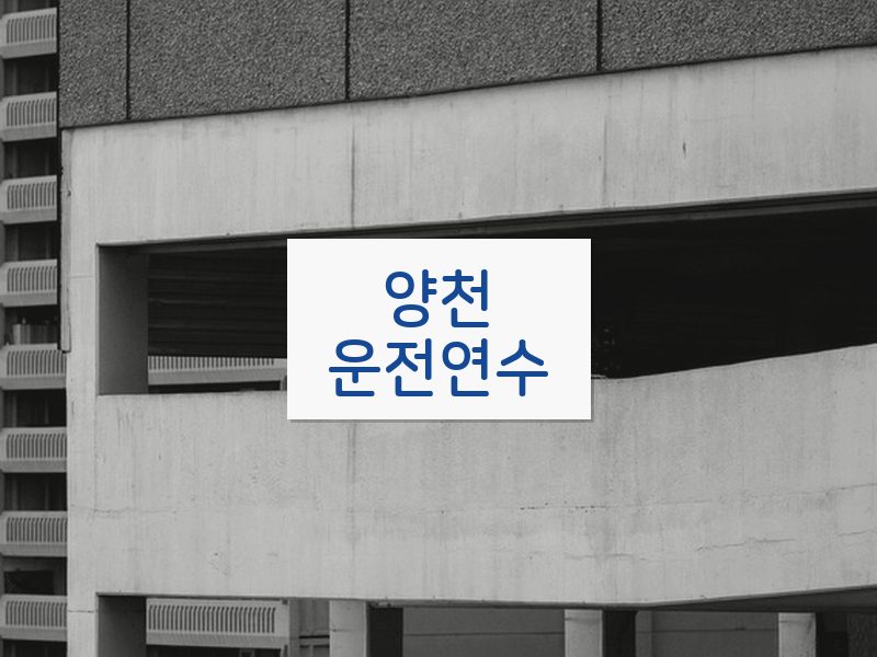 양천운전연수 후기