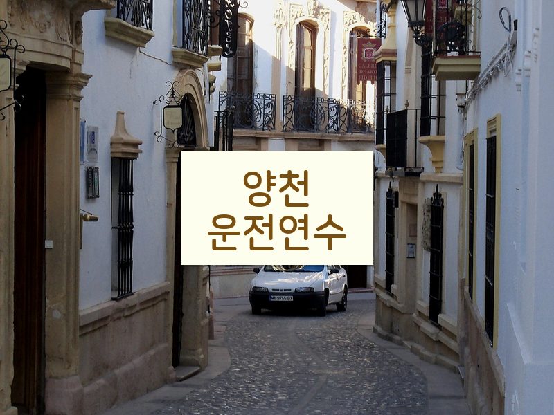 양천운전연수 후기