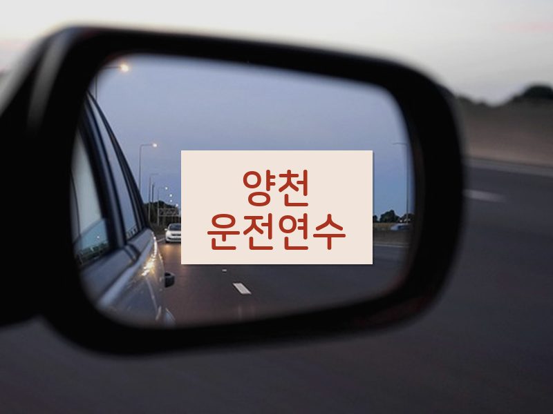 양천운전연수 후기