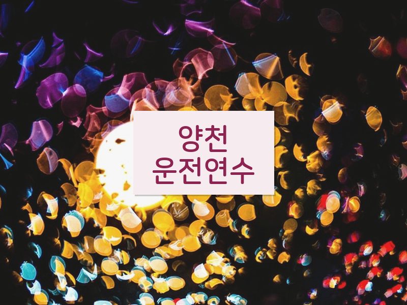 양천운전연수 후기