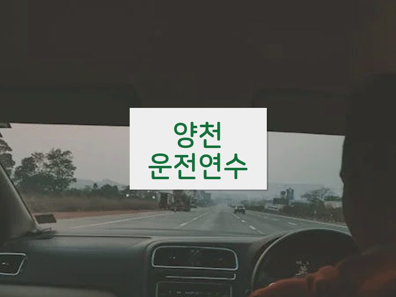 양천운전연수 후기