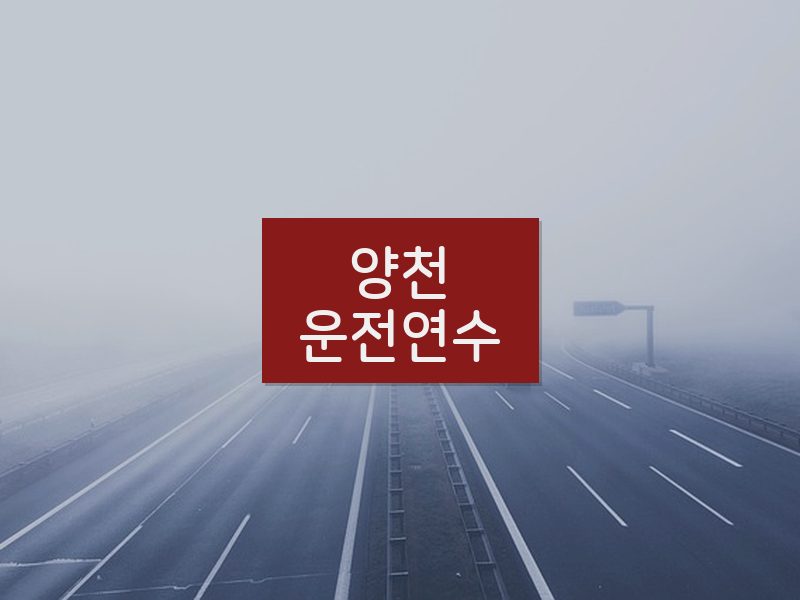 양천운전연수 후기