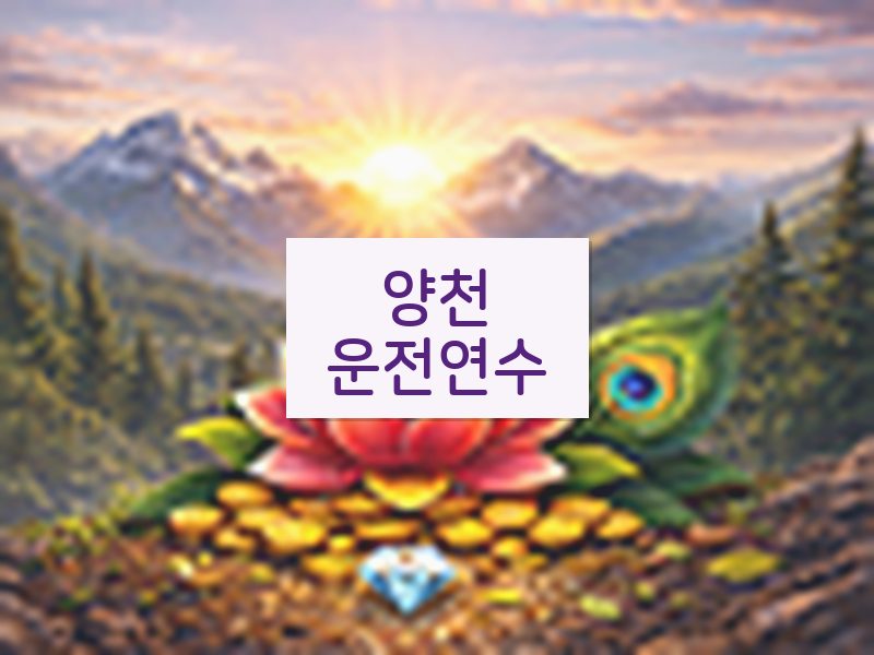 양천운전연수 후기