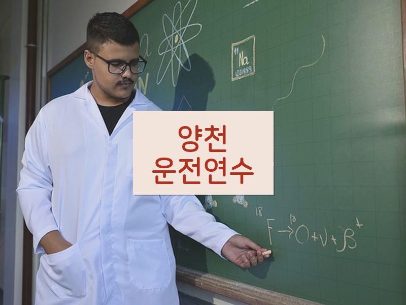 양천운전연수 후기