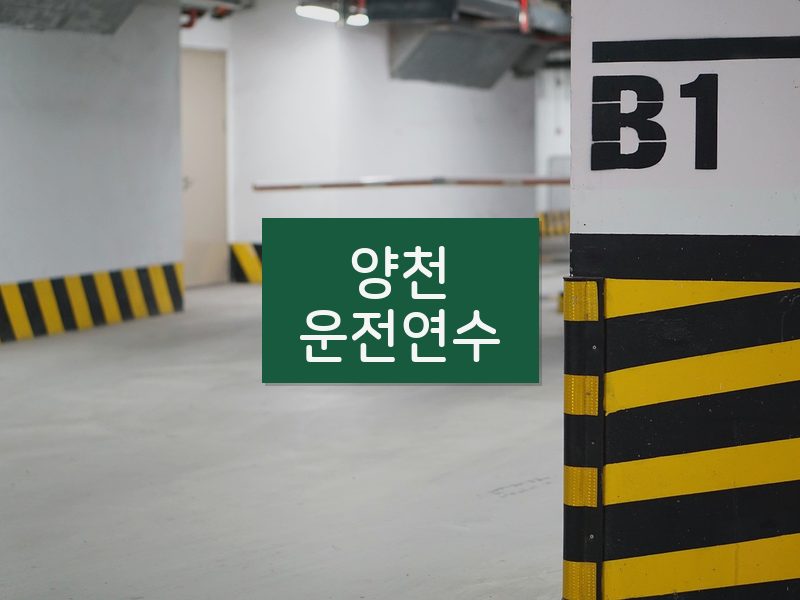 양천운전연수 후기