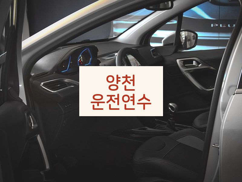 양천운전연수 후기